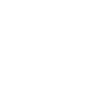 AI Platforms