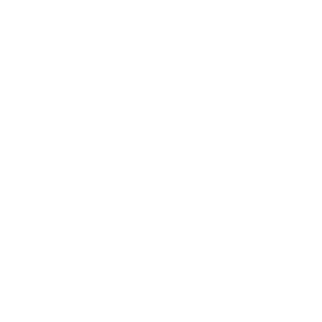 Custom AI Development