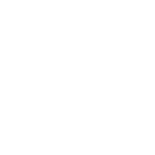 Platform Advantages 